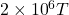 2\times{10}^6T