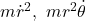 m{\dot{r}}^2,\ mr^2\dot{\theta}