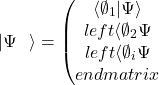 \[\left|\mathrm{\Psi}\right.\left.\ \right\rangle=\left(\begin{matrix}\left\langle\emptyset_1\middle|\mathrm{\Psi}\right\rangle\\left\langle\emptyset_2\middle|\mathrm{\Psi}\right\rangle\\left\langle\emptyset_i\middle|\mathrm{\Psi}\right\rangle\\end{matrix}\right)\]