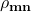 \mathbf{\rho_{mn}}