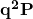 \mathbf{q^2P}